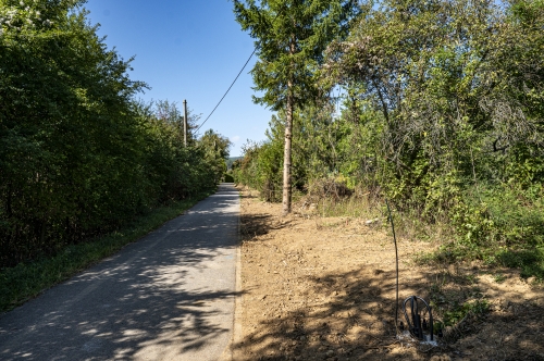 202509091429150.nmnv-2025-jk-305