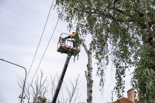 202510141847370.nmnv-2025-jk-1113