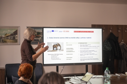 202511201747110.nmnv-2025-jk-2025-572