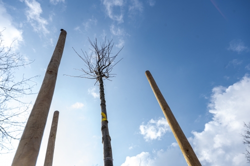 202603041519550.nmnv-jk-2026-180