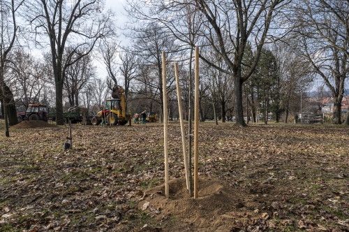 202603041519550.nmnv-jk-2026-181