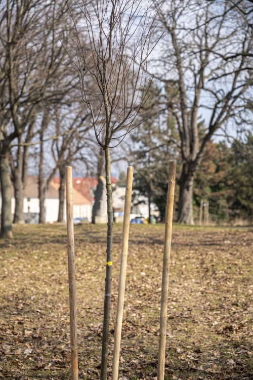 202603041519550.nmnv-jk-2026-182