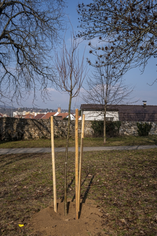 202603041519550.nmnv-jk-2026-184