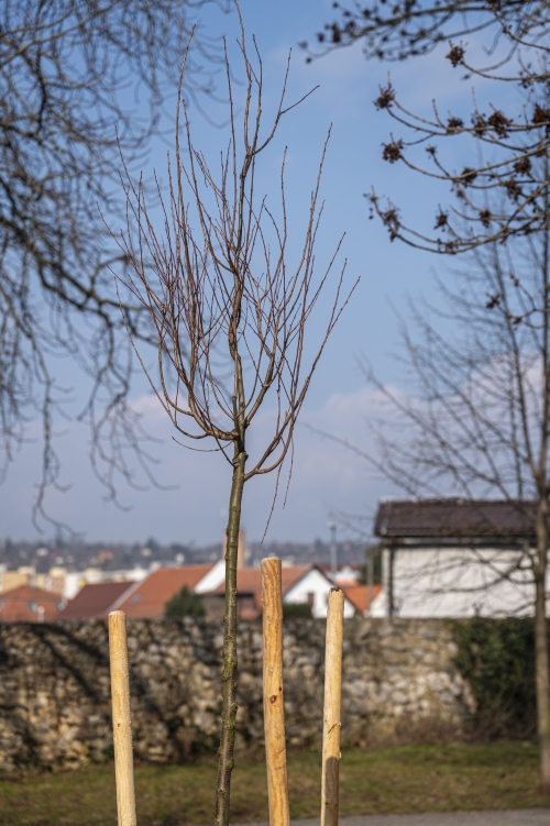 202603041519550.nmnv-jk-2026-186