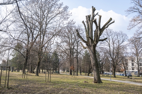 202603041519550.nmnv-jk-2026-194