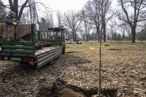 202603041519550.nmnv-jk-2026-195