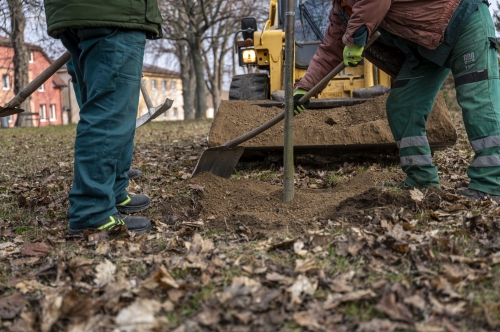 202603041519550.nmnv-jk-2026-196