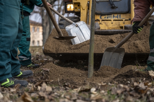 202603041519550.nmnv-jk-2026-197