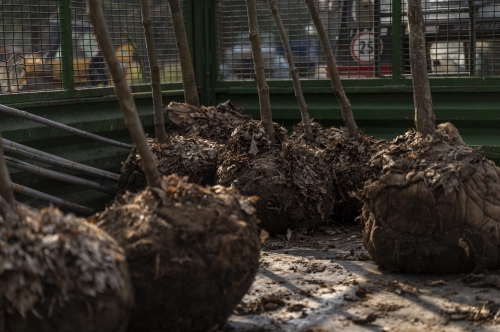 202603041519550.nmnv-jk-2026-202