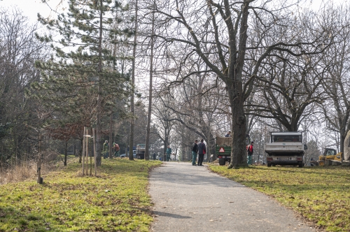 202603041519550.nmnv-jk-2026-204