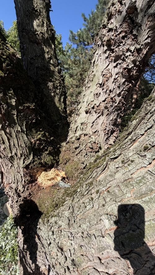 202608121311020.image3