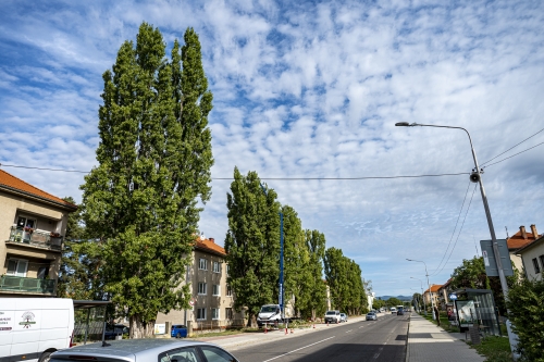 202609031109220.nmnv-21