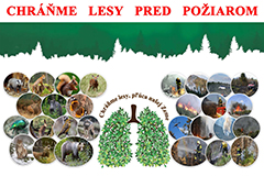 Ochrana lesov pred požiarmi