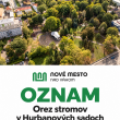 Odborné orezávanie stromov v Parku Hurbanove sady od  28.9.2026