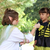 MDD 2025