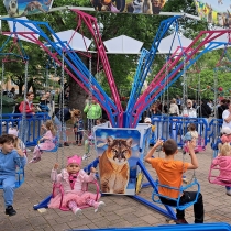 MDD 2025