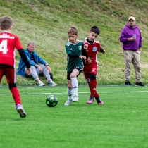 Umelá plocha AFC