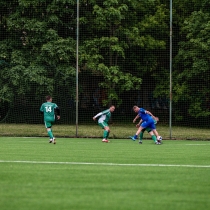 Umelá plocha AFC