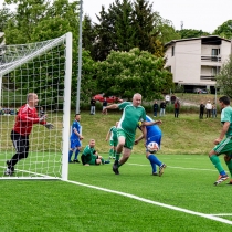 Umelá plocha AFC