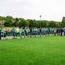 Umelá plocha AFC