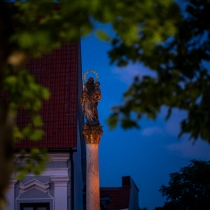 prehliadka