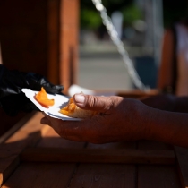 marhuľobranie