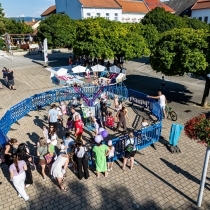 marhuľobranie