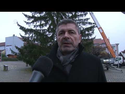 STROM NA NÁMESTÍ SLOBODY OSTÁVA